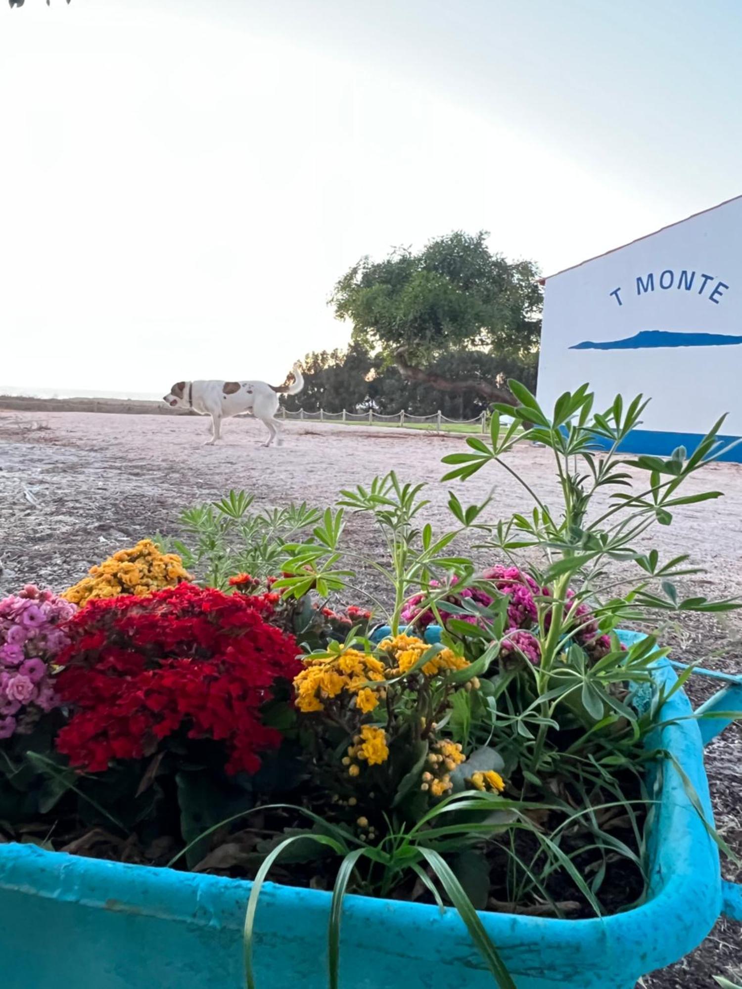 T Monte Villa Porto Covo Exterior photo